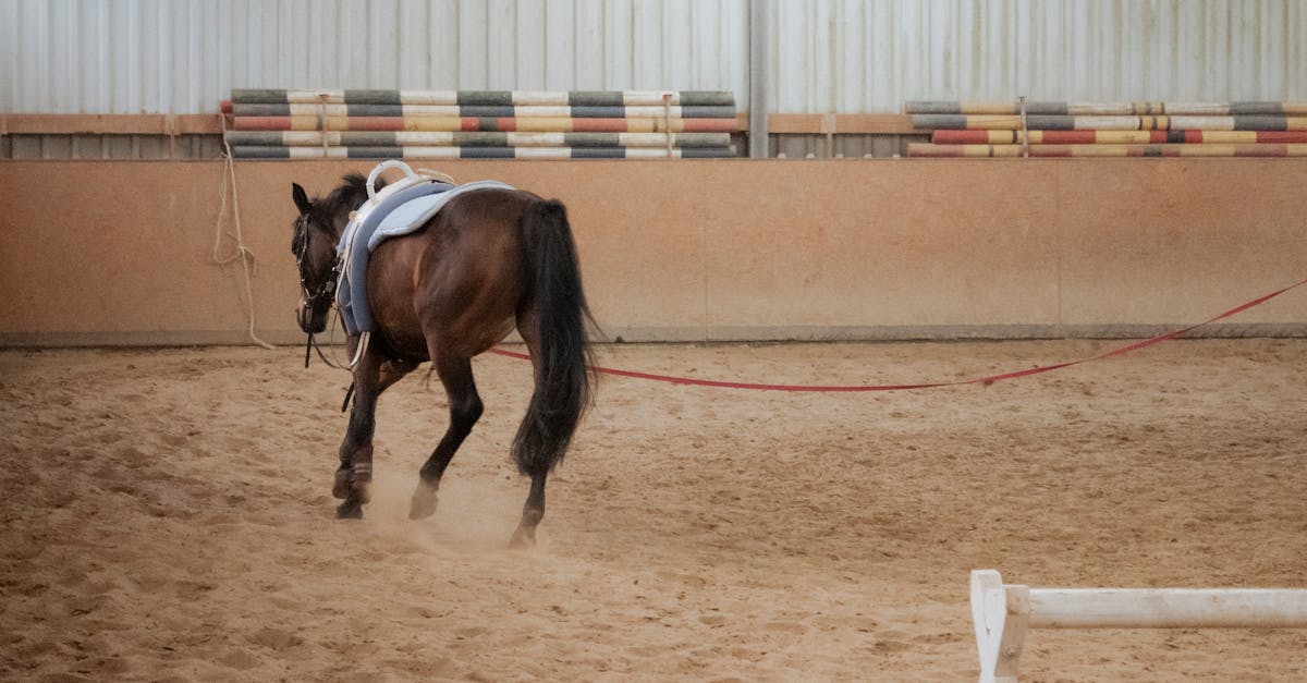 Bursa At Çiftliği ve Binicilik Kulübü