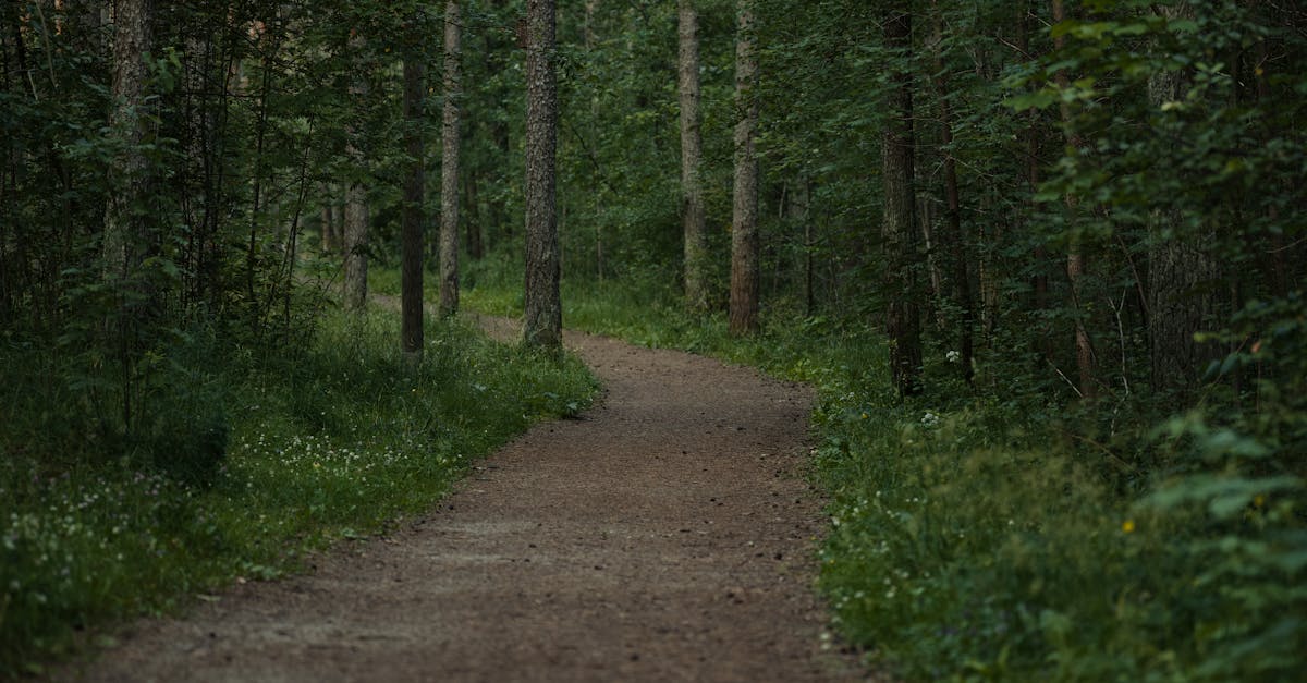 Antalya’da Doğa Yürüyüşü Yapabileceğiniz En İyi 5 Rota