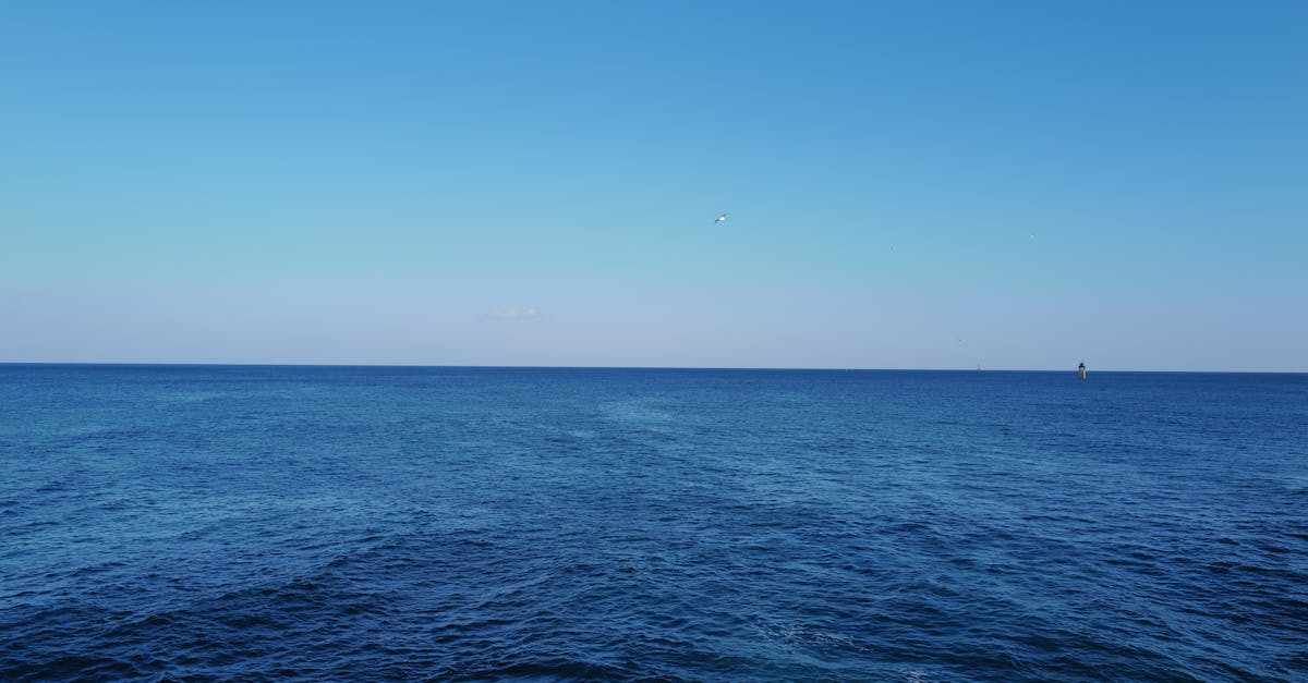 Deniz Ahşap Stüdyosu — Sarıyer