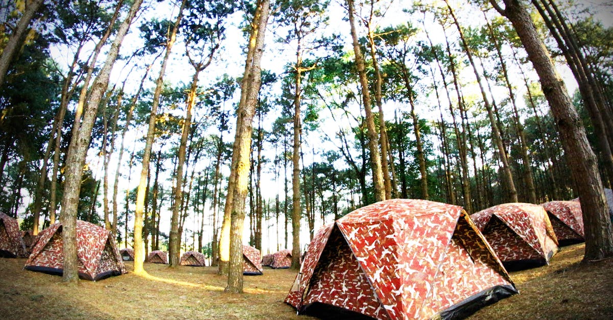 Polonezköy Tabiat Parkı Glamping