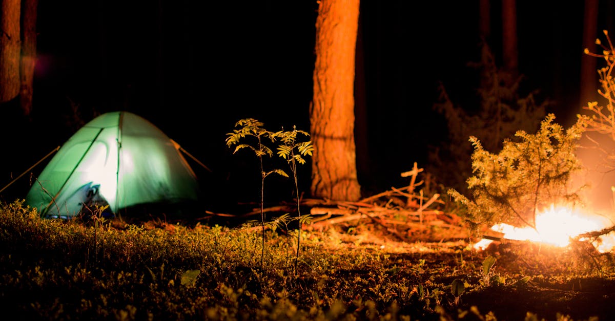 Longosphere Glamping