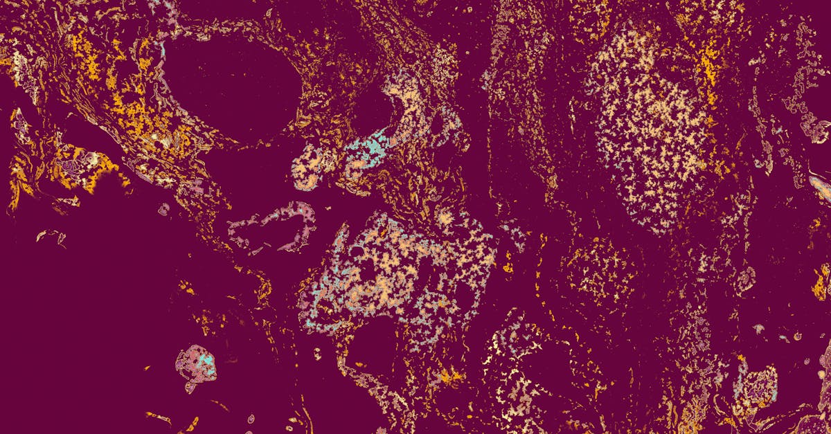 Dijital Çizim Kursu