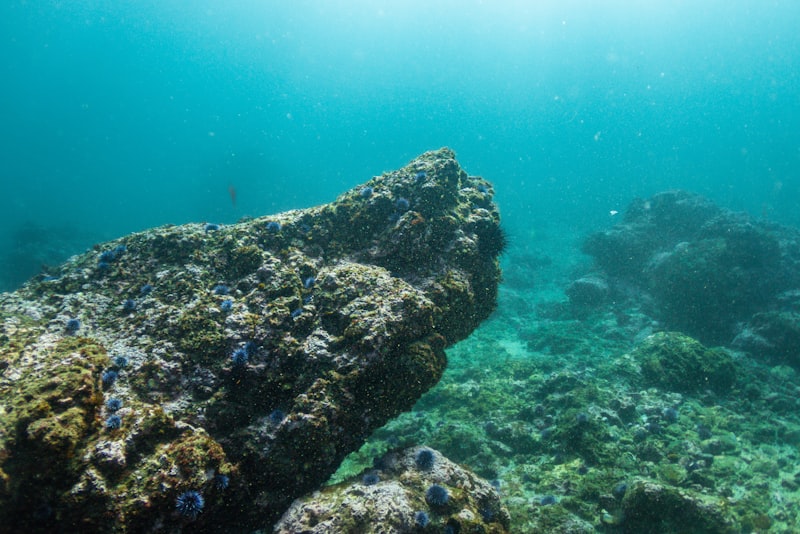 Stingray Diving Center