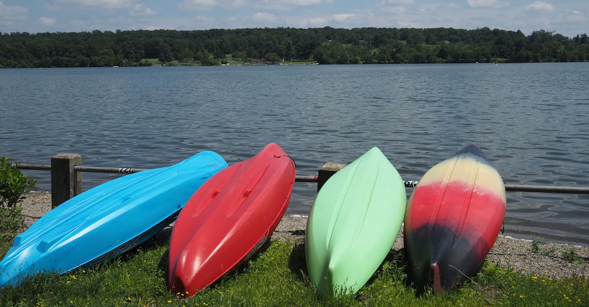 Alesta Kürek Kulübü