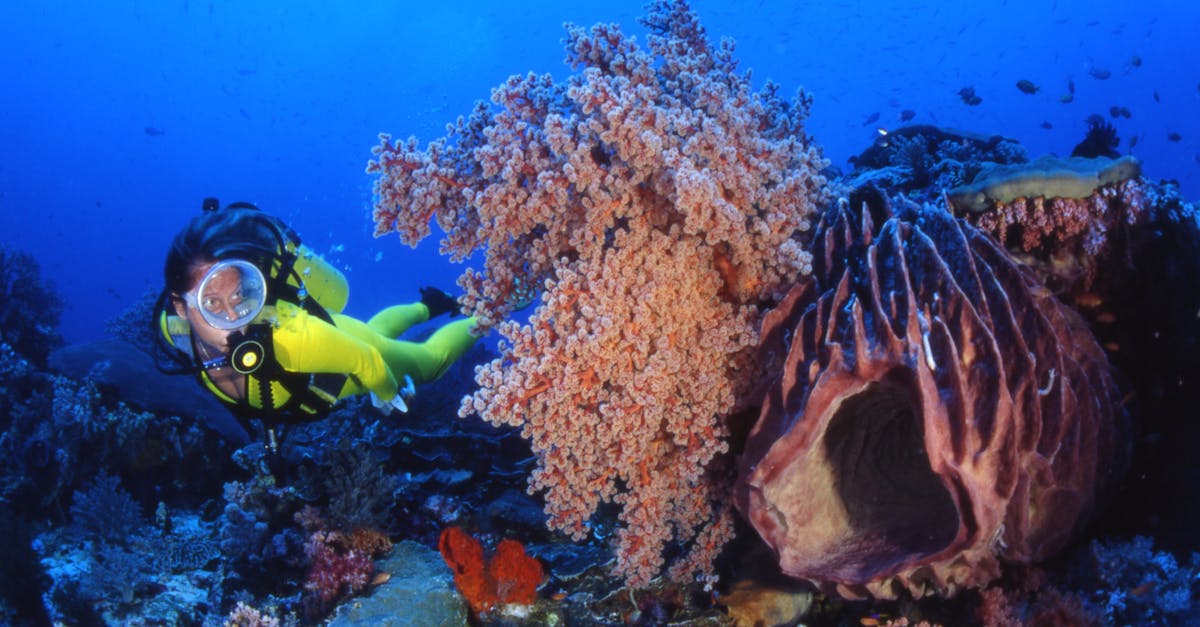 Naturablue Dalış Merkezi