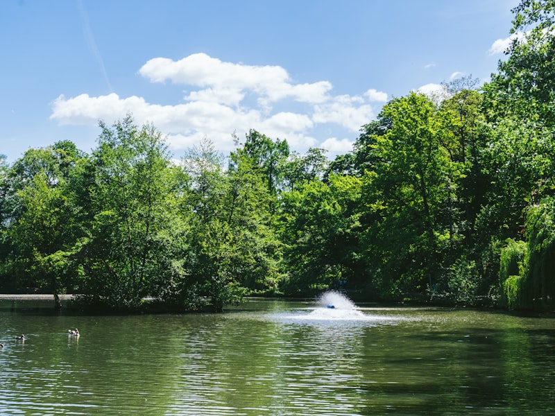 Çoruh Nehri Rafting