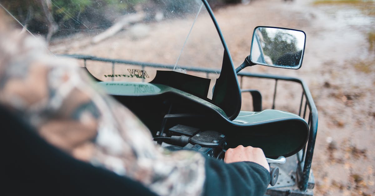 Günübirlik Ormanya Maşukiye Sapanca Turu┃İzmir Çıkışlı