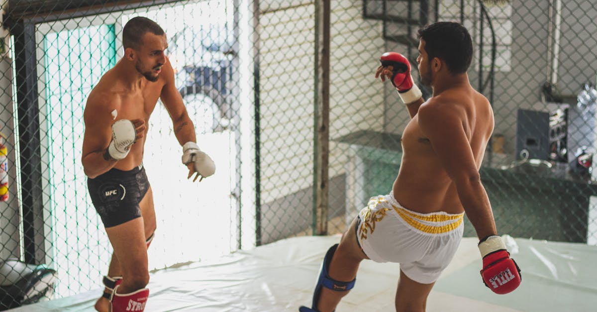 En İyi 40 Buca Boks Dersi Öğretmeni