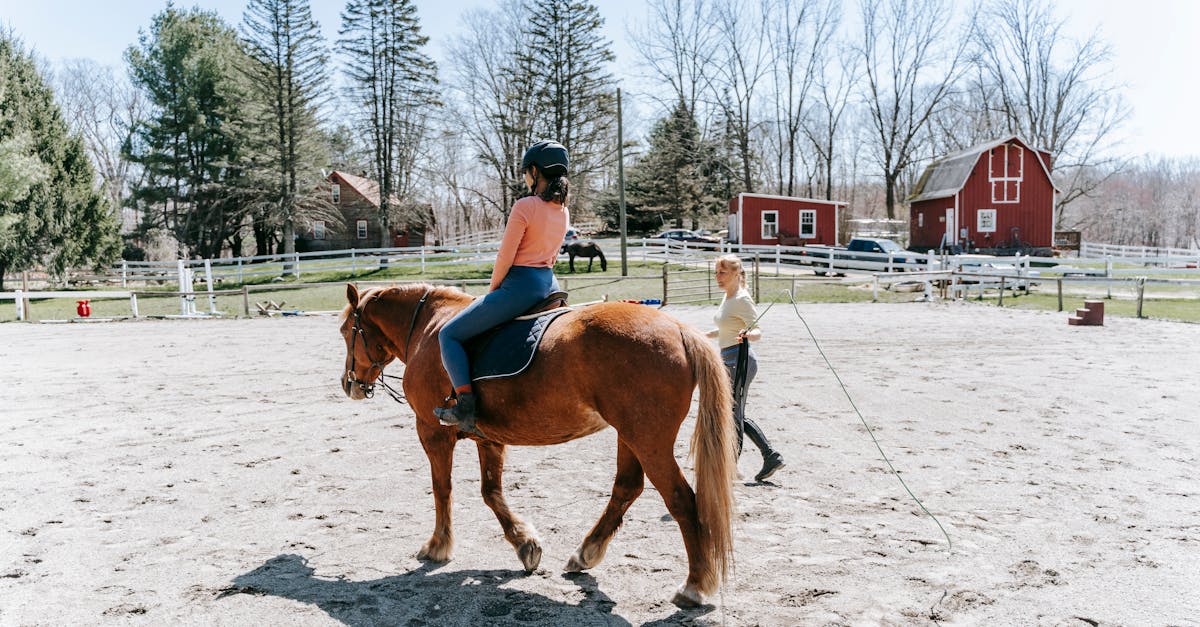 Doğuşlu Binicilik Kulübü