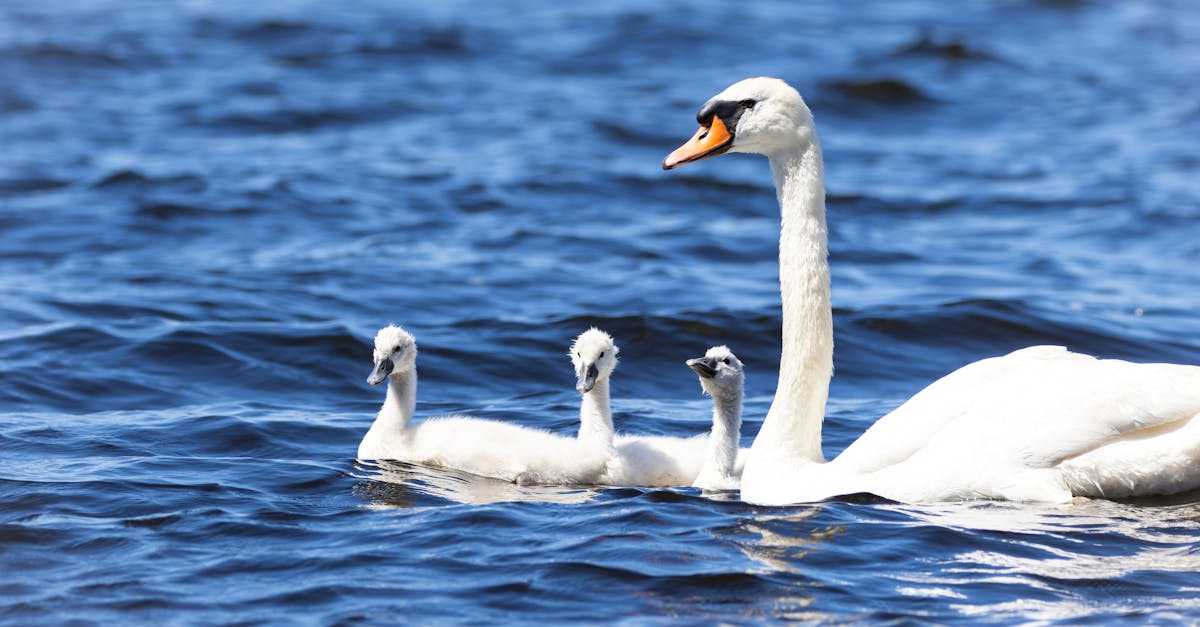 Çocuklardan Malatya'ya 'Düşler Atölyesi' Dokunuşu