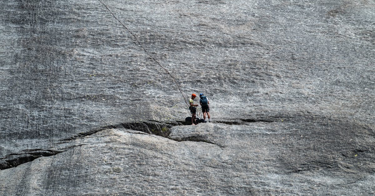 Dağcılık ve Arama Kurtarma Spor Kulübü'nden doğa yürüyüşü etkinliği