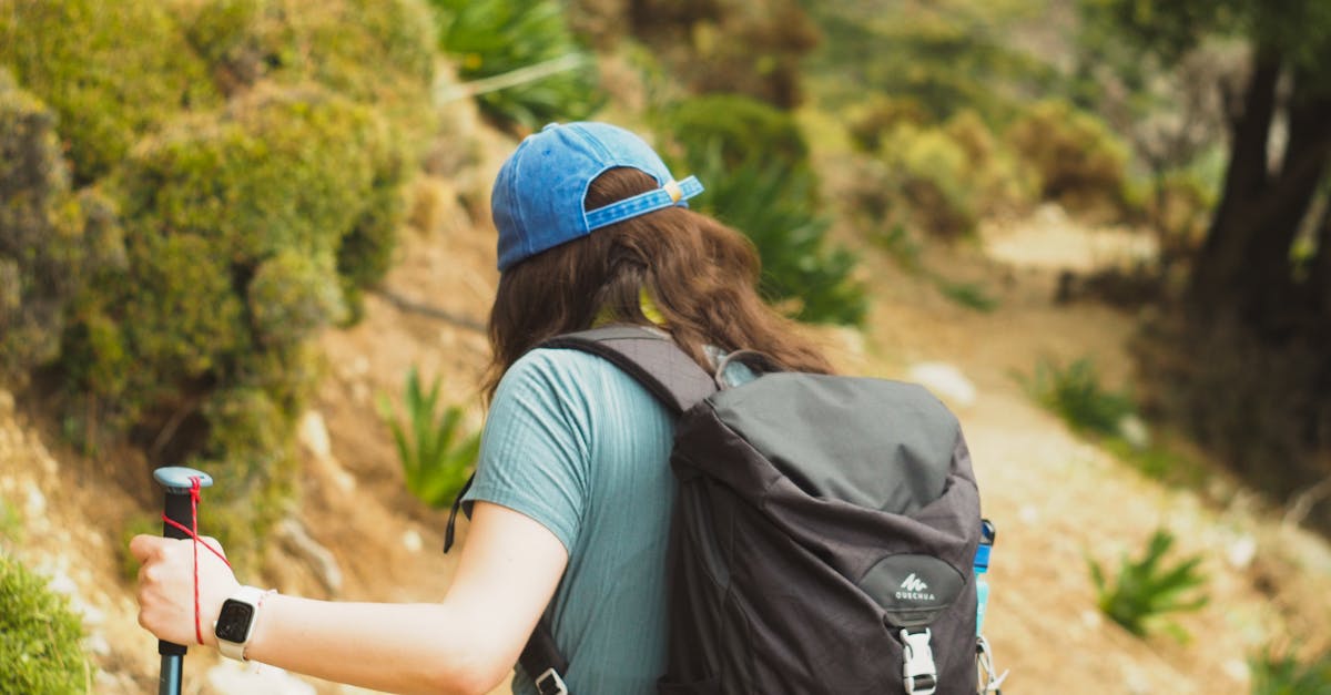 Bolu içindeki en iyi Doğa Yürüyüşü rotaları