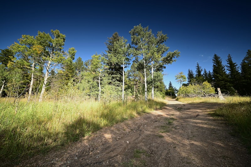 Doğa Yürüyüşü Trekking Turları ve Ekonomik Doğa Yürüyüşü Trekking Turları